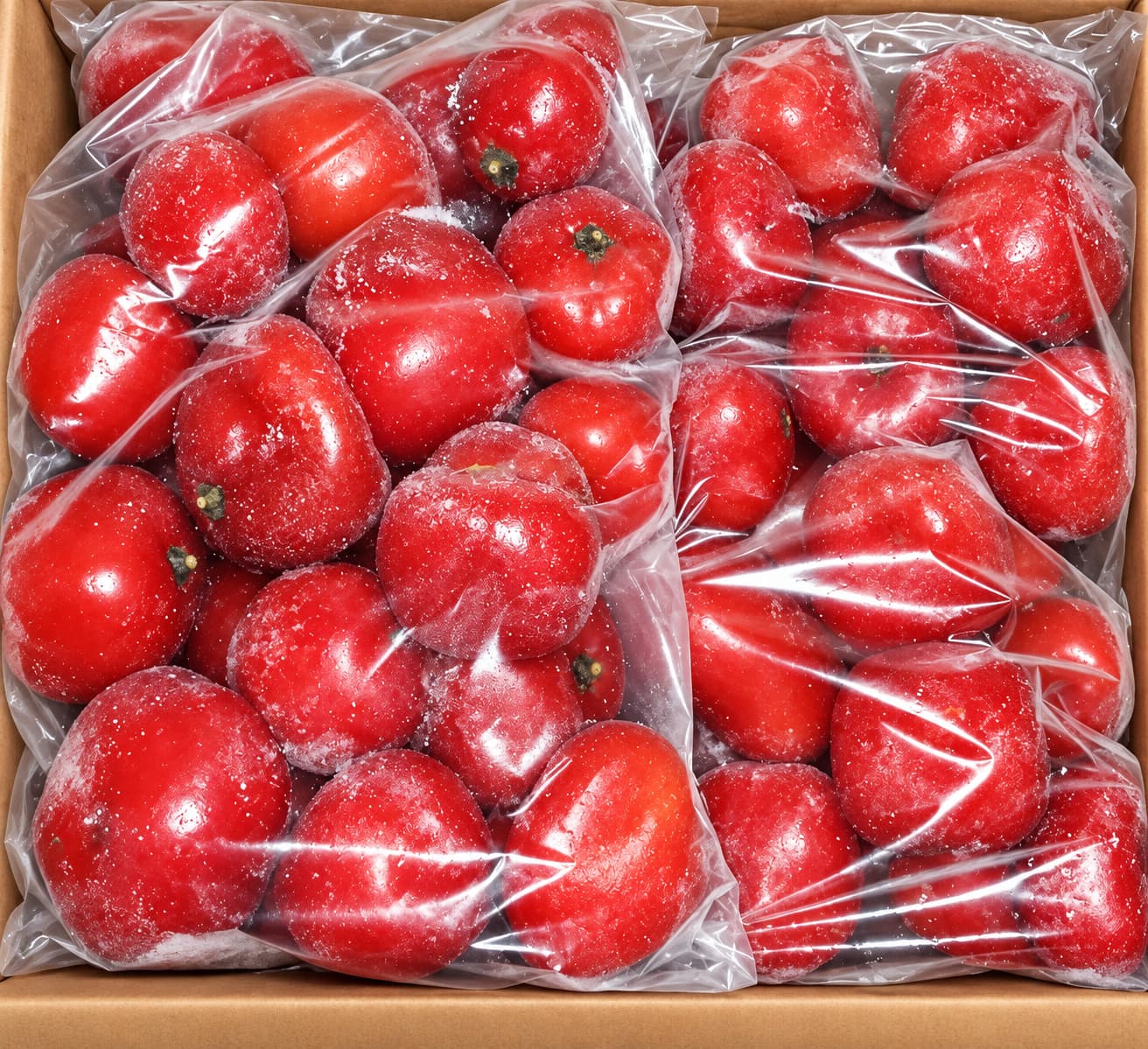 Rocoto